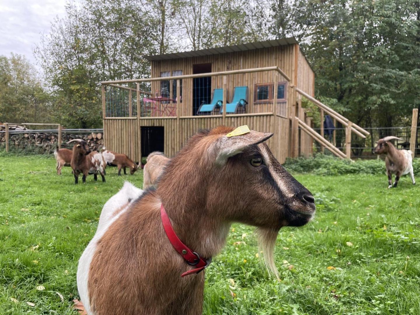 Le Cabanon Villa Dangeau Buitenkant foto